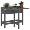 Image de Jardinière de jardin avec dessus pliable gris bois pin massif 825123
