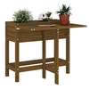 Image de Plantenbak met inklapbaar tafelblad grenenhout honingbruin825124