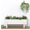 Image de Lit surélevé de jardin blanc 101x30x38 cm bois de pin massif 825185