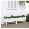 Image de Lit surélevé de jardin blanc 160x30x38 cm bois de pin massif 825192