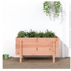 Image de Lit surélevé de jardin 101x50x57 cm bois Douglas massif 825217