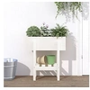 Image de Jardinière blanc 62x30x69 cm bois massif de pin 825234