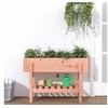 Image de Lit surélevé de jardin 101x30x69 cm bois douglas massif 825245
