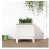 Image de Jardinière blanc 40x40x39 cm bois massif de pin