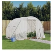 Image de Serre avec cadre en acier blanc 6 m² 3x2x2 m 364079