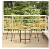 Image de Ensemble à Manger de Jardin 3 pcs, Chaises à Manger avec Accoudoirs, Ensemble de Meubles avec Table, Mobilier de 3157829