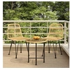 Image de Ensemble à Manger de Jardin 3 pcs, Chaises à Manger avec Accoudoirs, Ensemble de Meubles avec Table, Mobilier de 3157831