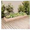 Image de Lit surélevé de jardin doublure 240x45x25 cm bois massif sapin