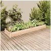 Image de Lit surélevé de jardin doublure 240x60x25 cm bois massif sapin