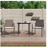 Image de Ensemble à Manger de Jardin avec Coussins 3 pcs, Chaises à Manger avec Accoudoirs, Ensemble de Meubles avec Table, 3186937