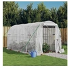 Image de Tuinkas met stalen frame 8 m² 4x2x2 m3188028