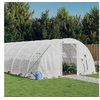 Image de Serre avec cadre en acier blanc 24 m² 6x4x2 m, polytunnel, serre à cadre froid, serre pour tomate, serre de jardin, 3188073