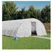 Image de Tuinkas met stalen frame 60 m² 12x5x2,3 m wit3188098