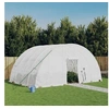 Image de Serre avec cadre en acier blanc 24 m² 6x4x2,85 m, polytunnel, serre à cadre froid, serre pour tomate, serre de 3188116