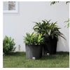 Image de Jardinière et intérieur amovible anthracite 15 15,3 L rotin PP