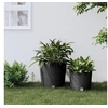 Image de Jardinière et intérieur amovible anthracite 35 37,5 L rotin PP