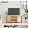 Image de Meuble TV Chêne sonoma 100x40x50 cm Bois d'ingénierie832764