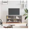 Image de Meuble TV Sonoma gris 100x40x50 cm Bois d'ingénierie832776