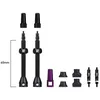 Image de Dynamic bike care - Barkeeper Tubeless Valves - Valve tubeless - 60 mm