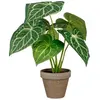 Image de Mica Decorations Plante Artificielle Caladium Oreja De Elefante