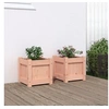 Image de Jardinières 2 pcs bois massif douglas