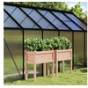 Image de Jardinières 2 pcs avec pieds bois massif douglas