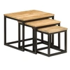 Image de Tables basses gigognes 3 pcs bois massif de manguier et fer