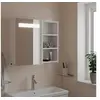 Image de Armoire de salle de bain à miroir avec LED blanc 60x13x52 cm, armoire de toilette avec miroir, armoire murale avec 357969