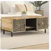 Image de Table Basse, Table d'Appoint avec Pieds et Portes, Bout de Canapé, Meuble de Rangement Salon, Rétro, Bois de Manguier 358224