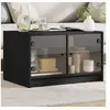 Image de Table basse avec portes en verre noir 68x50x42 cm 836365