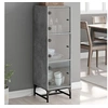 Image de Buffet avec portes en verre gris béton 35x37x120 cm