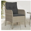 Image de Chaises de jardin coussins lot de 2 gris clair résine tressée365150