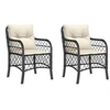Image de 2 Chaises de jardin avec coussins noir résine tressée