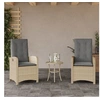 Image de Lot de 2 chaise en resine tressee non pliable H. 93 cm exterieur beige
