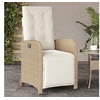 Image de Chaise exterieur non pliable H. 93 cm en resine tressee beige