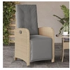 Image de Chaise en rotin non pliable exterieur H. 93 cm beige