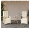 Image de Lot de 2 chaise en rotin non pliable exterieur H. 93 cm beige