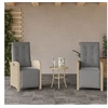 Image de Lot de 2 chaise H. 93 cm non pliable exterieur en rotin beige
