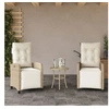 Image de Chaises inclinables de jardin lot de 2 avec repose-pied rotin 365244