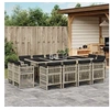 Image de Ensemble à Manger de Jardin avec Coussins 13 pcs, Table et Chaise de Terrasse, Meubles de Patio, Mobilier 3211043