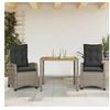 Image de 3-delige Tuinset met kussens poly rattan grijs3212671