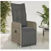 Image de Chaises inclinables de jardin lot de 2 et coussins gris rotin, fauteuil de jardin inclinable, fauteuil inclinable de 365702