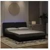 Image de Cadre de Lit avec Lumières LED, Lit Rembourré, Sommier à Lattes, Lit Double, Lit Adulte de Chambre à Coucher 3213863