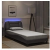 Image de Cadre de Lit avec Lumières LED, Lit Rembourré, Lit Simple, Lit Adulte de Chambre à Coucher Intérieur, Moderne, Gris 3213909