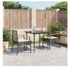 Image de Ensemble à Manger de Jardin avec Coussins 3 pcs, Table et Chaise de Terrasse, Meubles de Patio, Mobilier d'Extérieur, 3213596