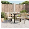 Image de 5-delige Tuinset met kussens poly rattan beige3213632