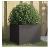 Image de Plantenbak 32x30x29 cm staal zwart841535