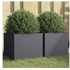 Image de Jardinières 2 pcs, Bacs à Fleurs, Pots de Plantes, Boîtes à Fleurs, Jardinières Surélevées de Jardin Terrasse, 841540