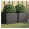 Image de Jardinières 2 pcs noir 42x40x39 cm acier