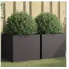 Image de Jardinières 2 pcs noir 49x47x46 cm acier